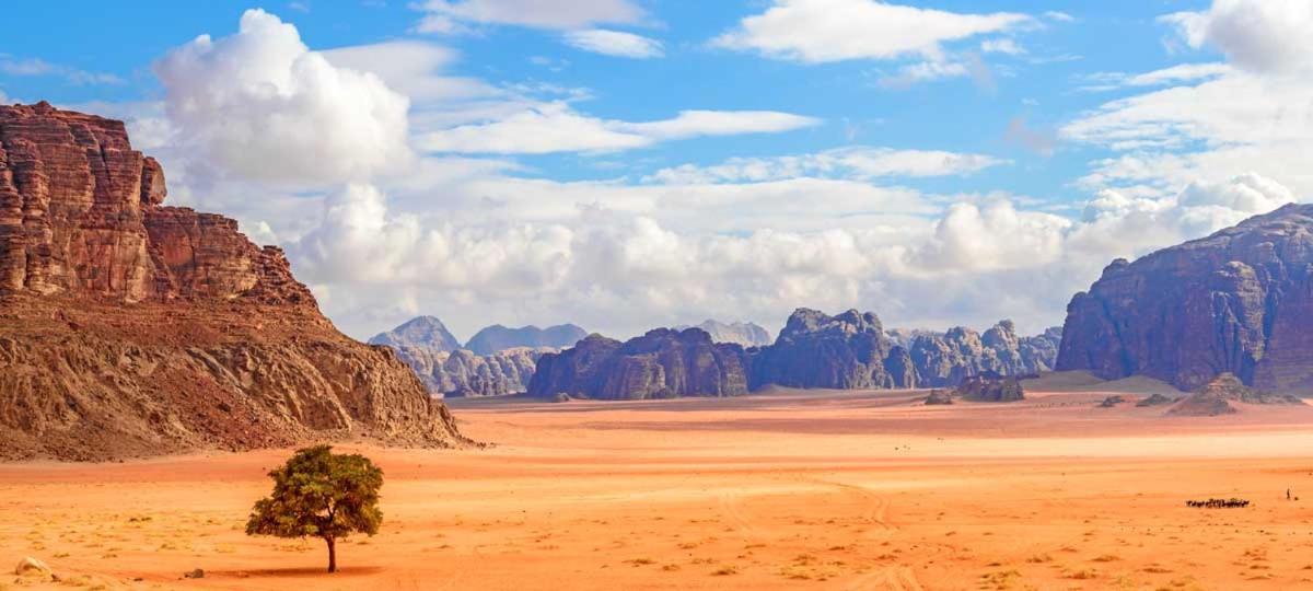 Wadi Rum Bubble Tent & Bedouin Style ภายนอก รูปภาพ